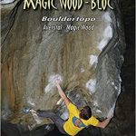 Magic Wood - Bloc cover
